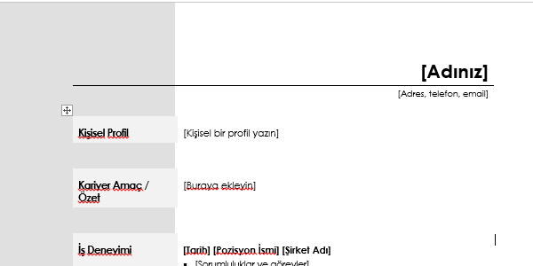 2020 Boş CV Örnekleri