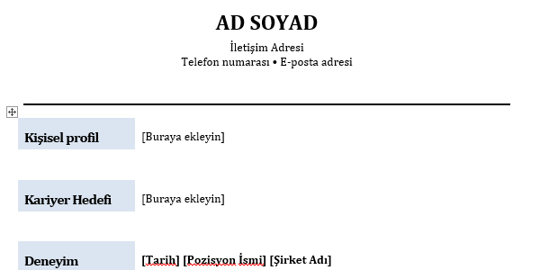 2020 Boş CV Örnekleri